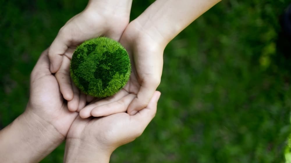 Quem deve pagar pelo “Prêmio Verde” na indústria siderúrgica?